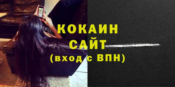 сатива Баксан