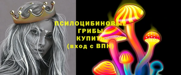 сатива Баксан