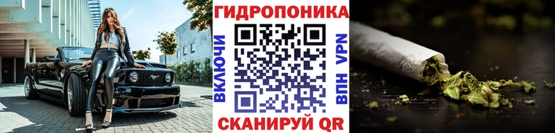 купить наркотики цена  Талдом  Канабис сатива 